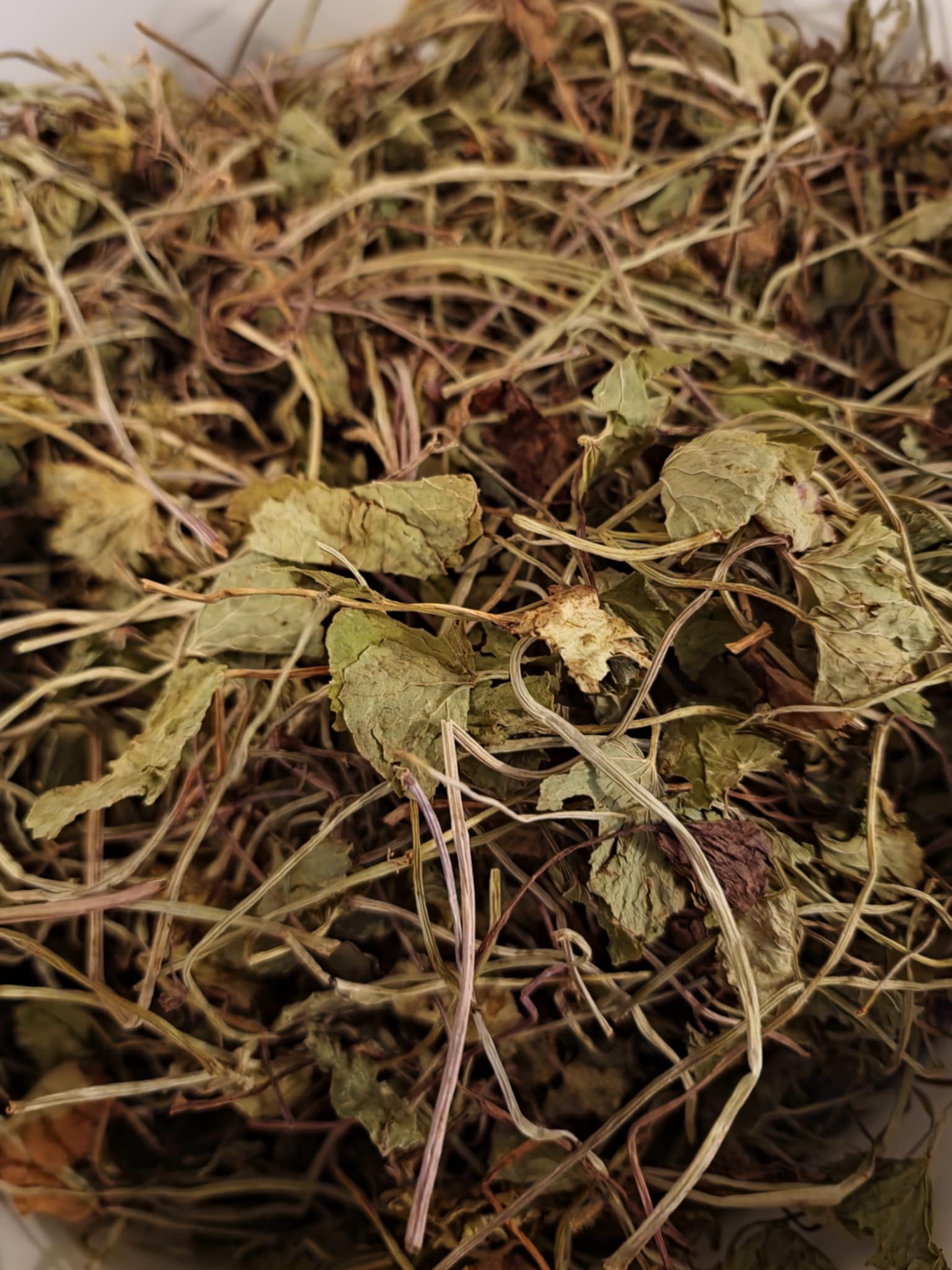 Organic dried Gotu Kola herbs, an herbal remedy