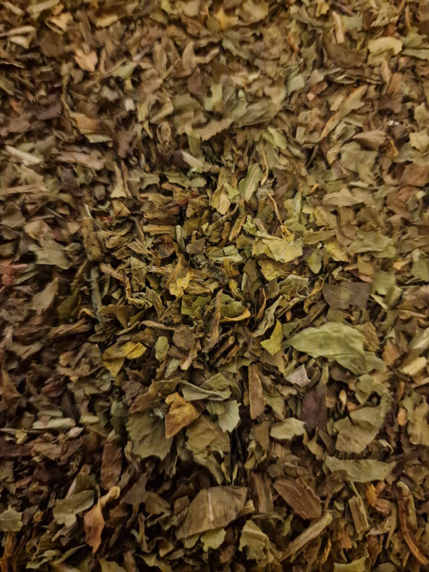 close up of greater Celandine herb from Botanical Remedies herbal dispensary, an herbal remedy