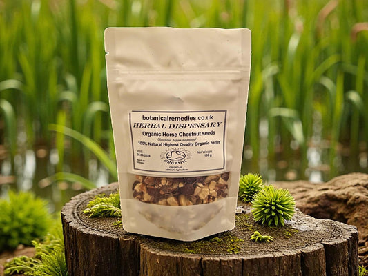 Bag of organic horse chestnut seeds from Botanical Remedies herbal dispensary, an herbal remedy, loose herbal tea