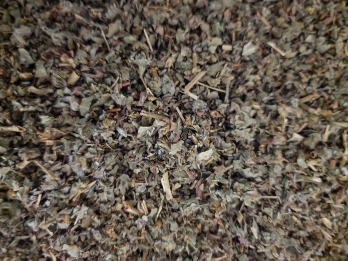 Organic Lady`s mantle herb, dried and cut, loose, herbal tea, an herbal remedy
