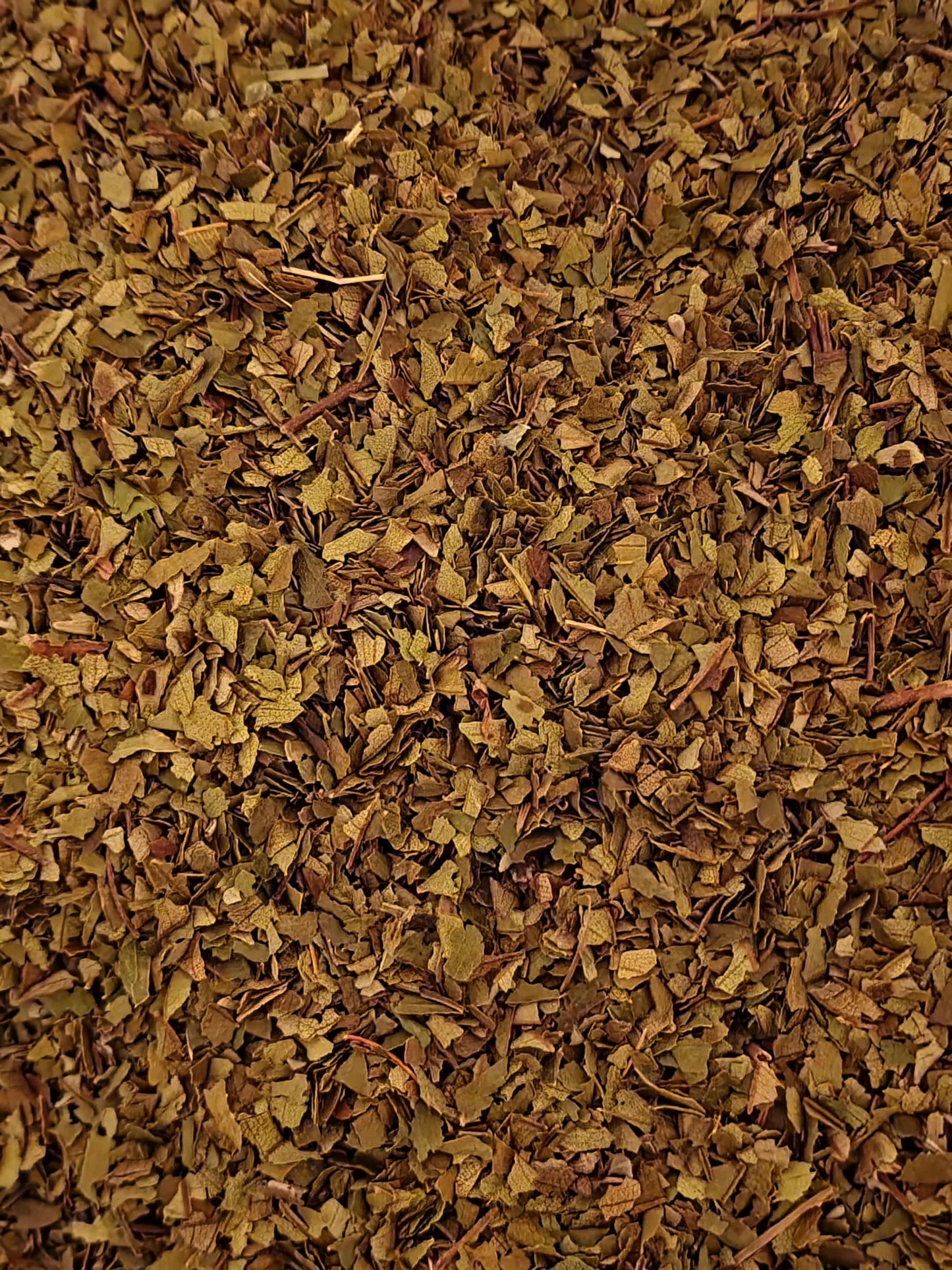 Close-up of dried Organic Lemon Myrtle leaves, an herbal remedy from Botanical remedies herbal dispensary