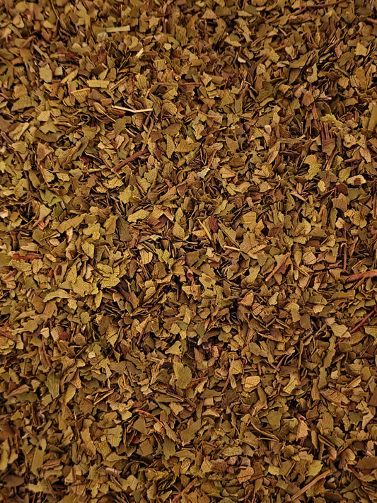 Close-up of dried Organic Lemon Myrtle leaves, an herbal remedy from Botanical remedies herbal dispensary