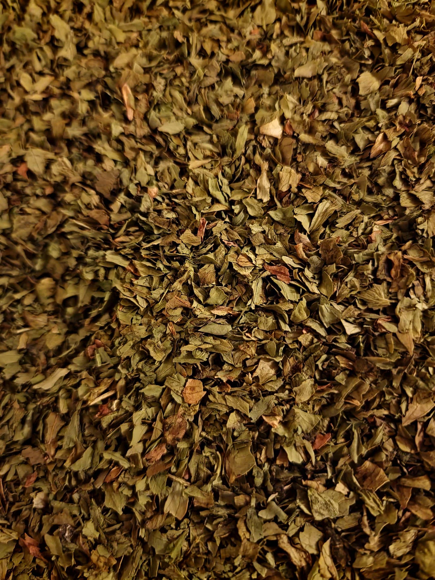 Close-up of dried Organic Lovage leaf, an herbal remedy from Botanical Remedies herbal dispensary, loose herbal tea