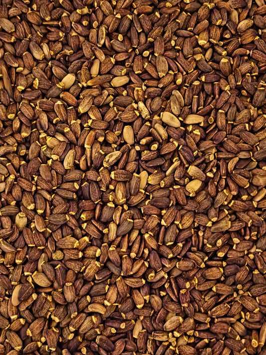 Close-up of dried Organic Milk Thistle seeds, an herbal remedy from Botanical Remedies herbal dispensary