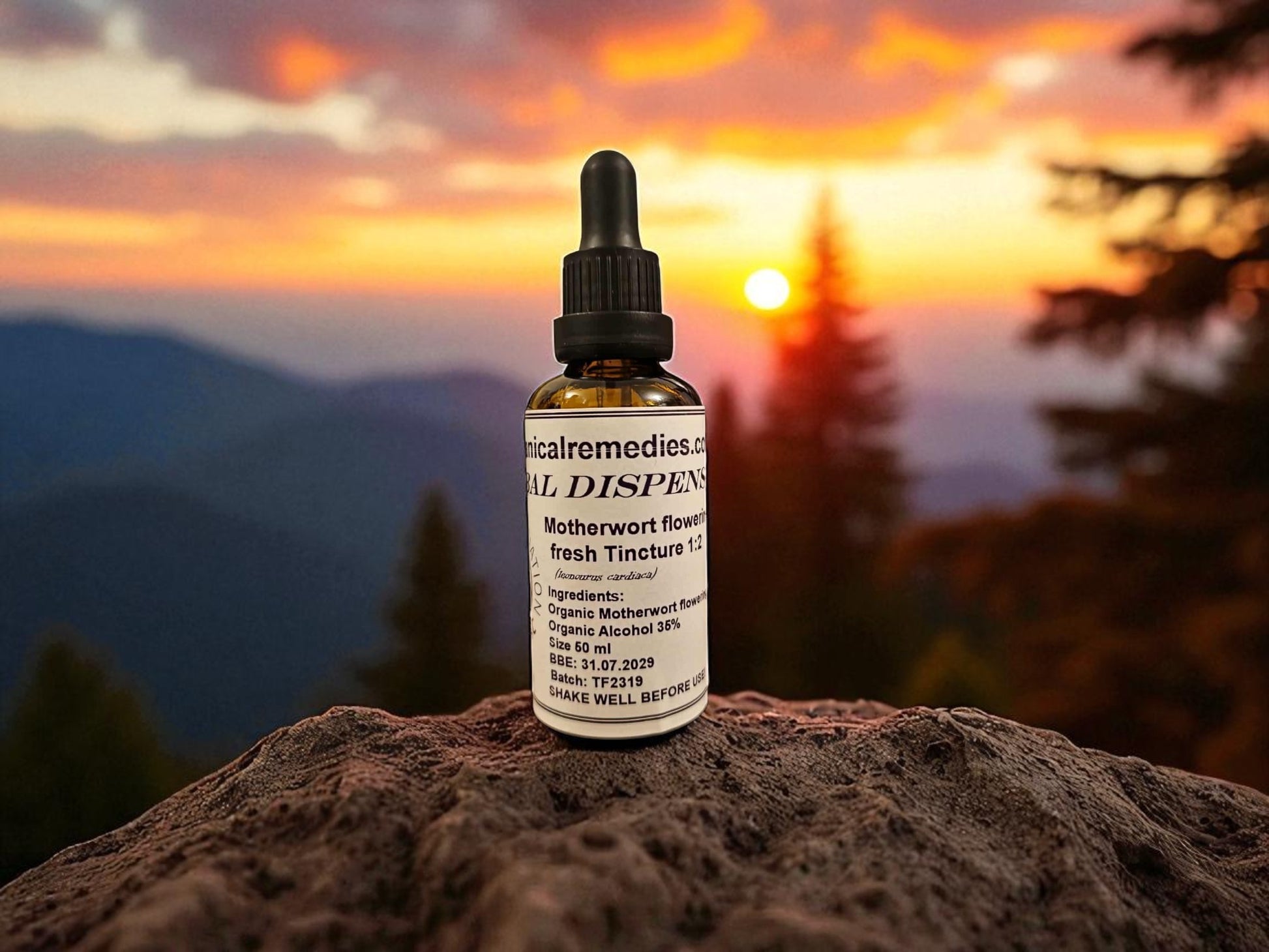 Dropper Bottle with Organic Motherwort tincture from Botanical Remedies herbal dispensary, an herbal remedy