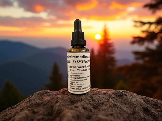 Dropper Bottle with Organic Motherwort tincture from Botanical Remedies herbal dispensary, an herbal remedy
