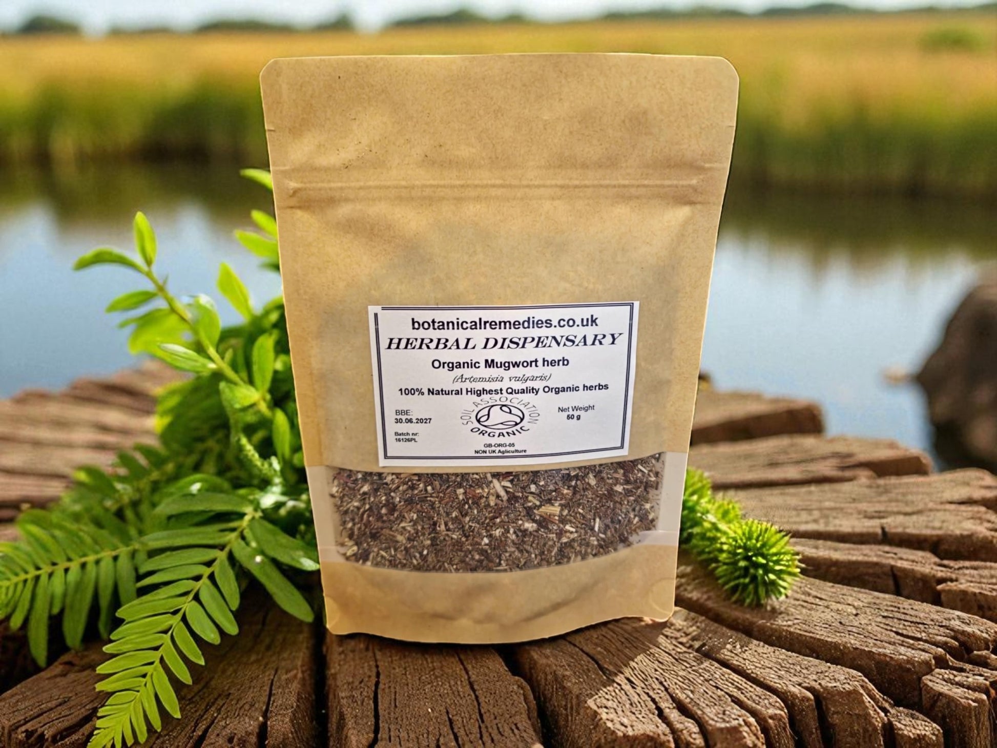 An zipped package with organic Mugwort herb, dried and cut, an herbal remedy, loose herbal tea