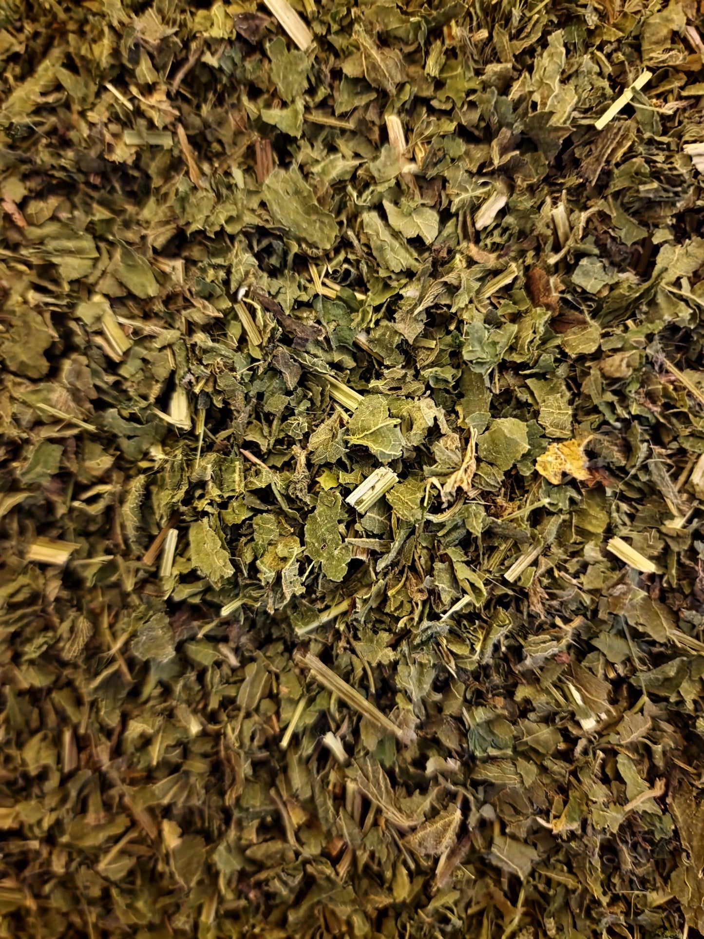 close up of Organic Nettle herb from Botanical Remedies herbal dispensary, an herbal remedy, loose herbal tea