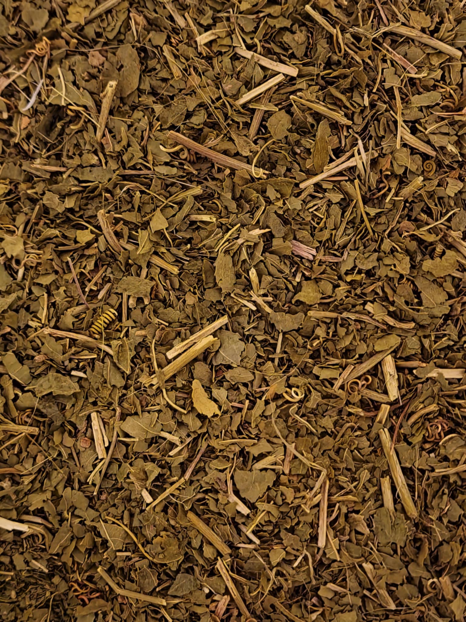 Dried and cut passion flower herb, loose herbal tea, an herbal remedy
