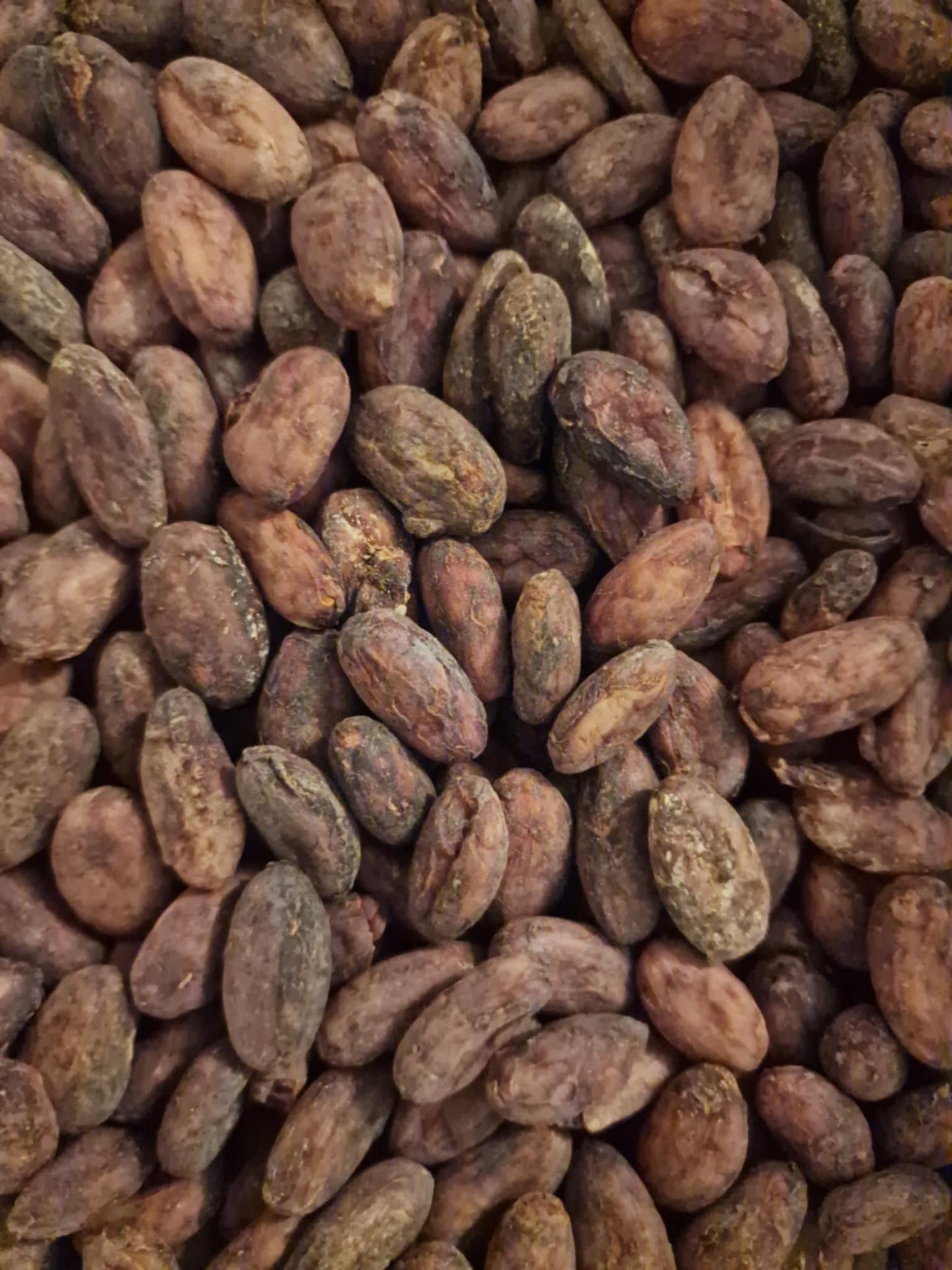 Close-up of organic raw cacao beans.