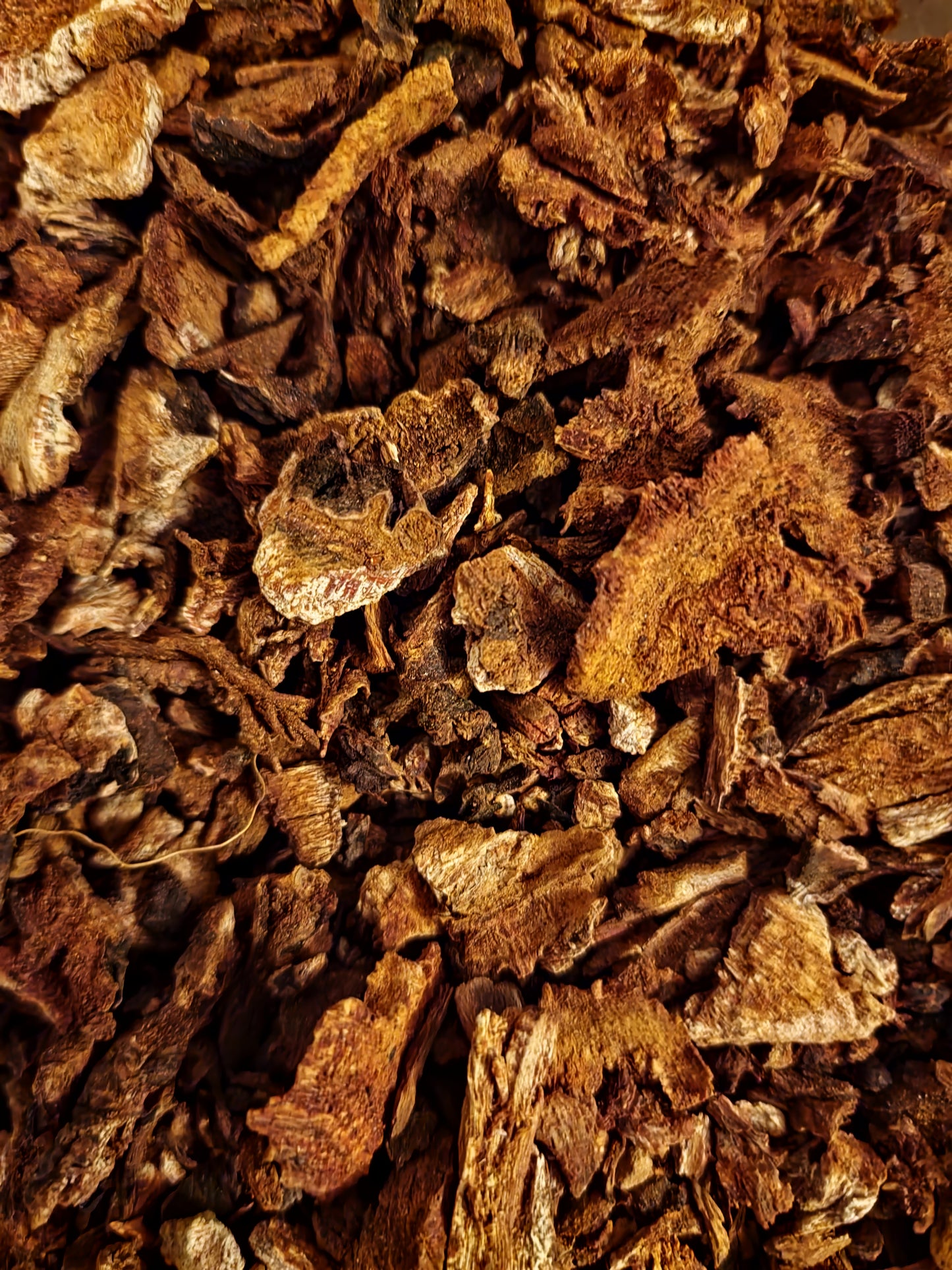 Close-up of dried and cut Organic Rhubarb root pieces, an herbal remedy, loose herbal tea