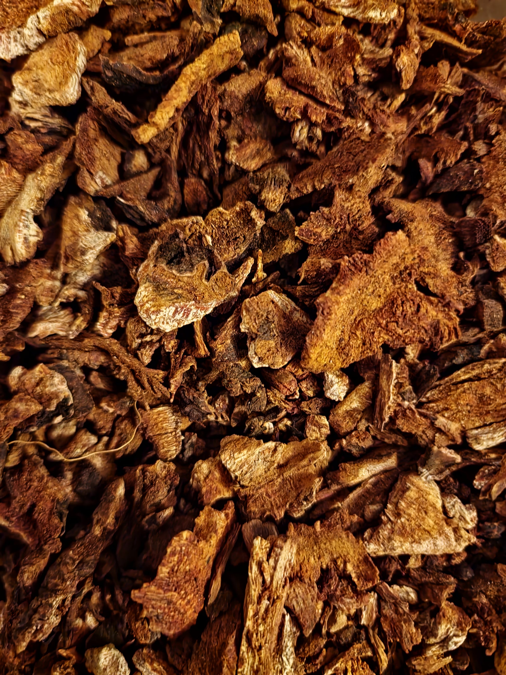 Close-up of dried and cut Organic Rhubarb root pieces, an herbal remedy, loose herbal tea