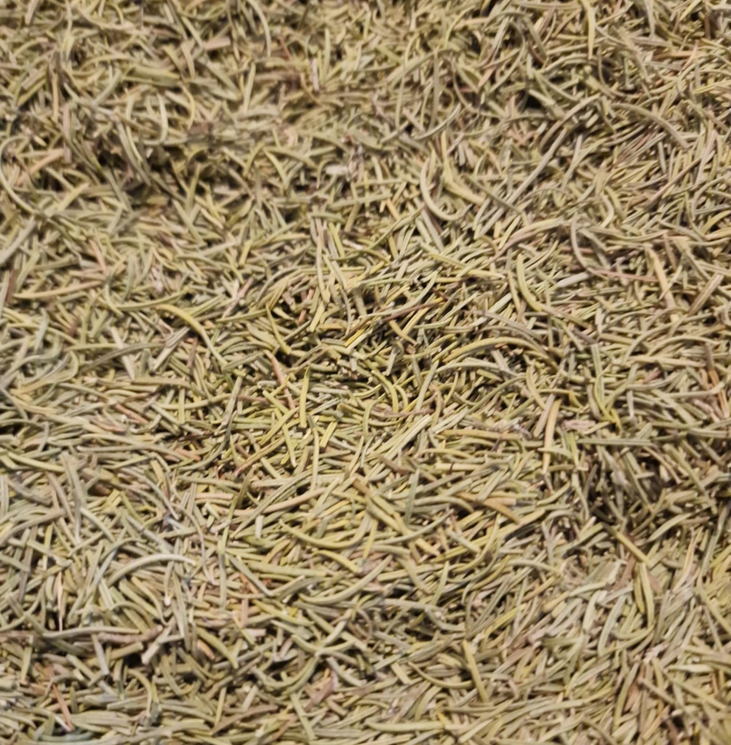 Close up of Organic Rosemary dried leaves from Botanical Remedies herbal dispensary, loose herbal tea, an herbal remedy