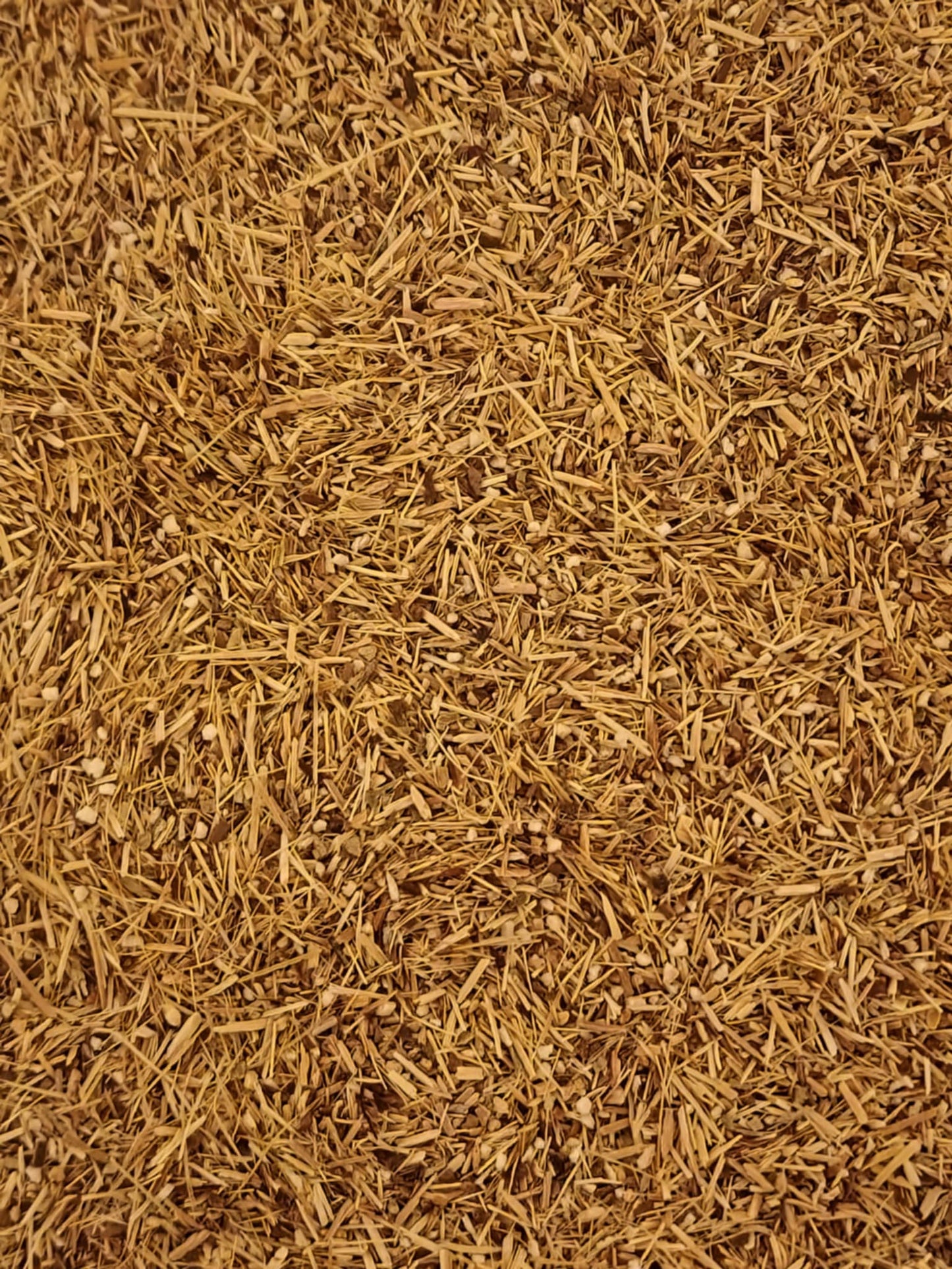 Close-up of a dried and cut Organic Siberian Ginseng root, loose herbal tea, an herbal remedy