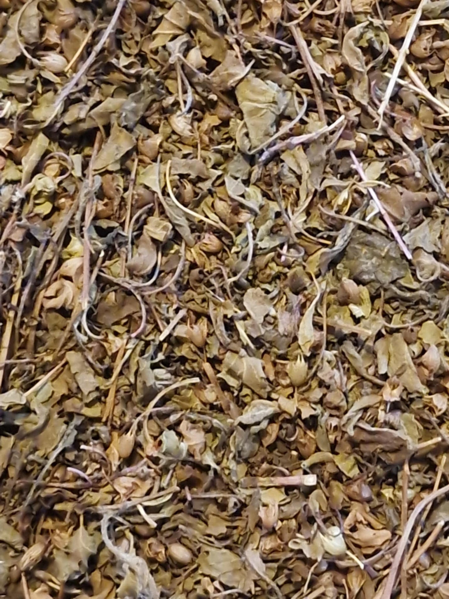 Organic Tulsi leaf, loose herbal tea, an herbal remedy