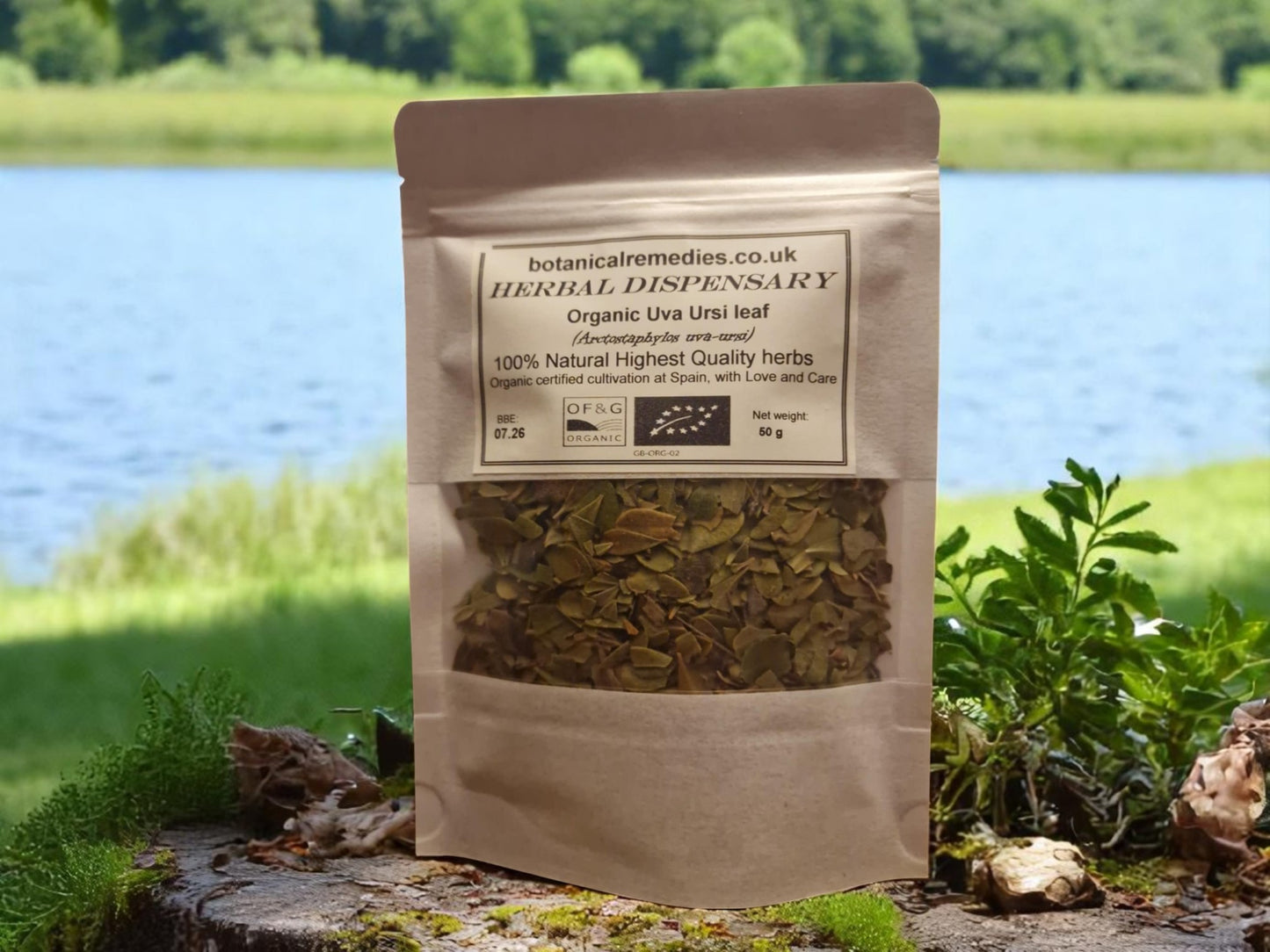 Package with Organic Uva ursi leaf, loose herbal tea, an herbal remedy