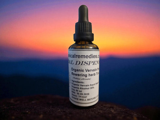 Dropper bottle with Organic Vervain tincture, made from fresh herb, an herbal remedy