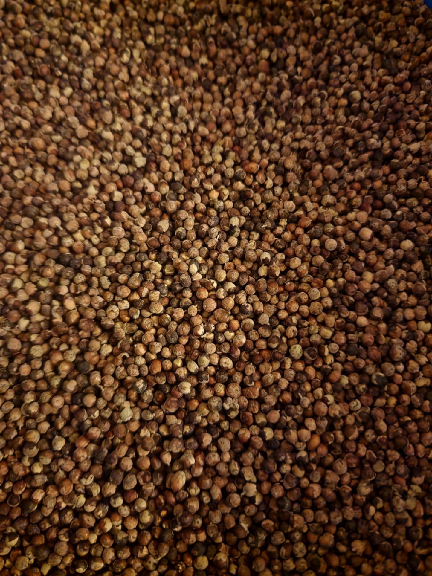Close-up of Organic Agnus castus berries from Botanical remedies , an herbal remedy