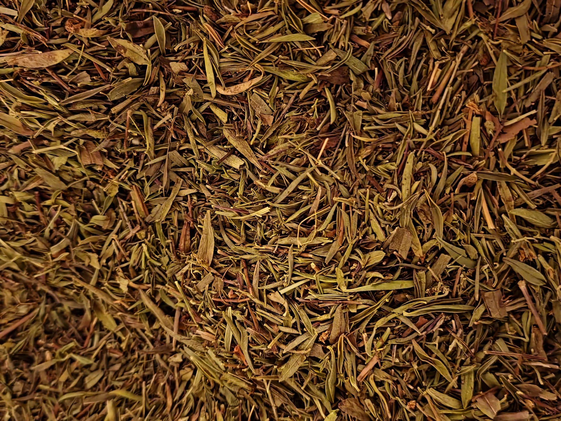 Close-up of dried Organic Winter Savory leaves, an herbal remedy from  Botanical Remedies herbal dispensary, loose herbal tea