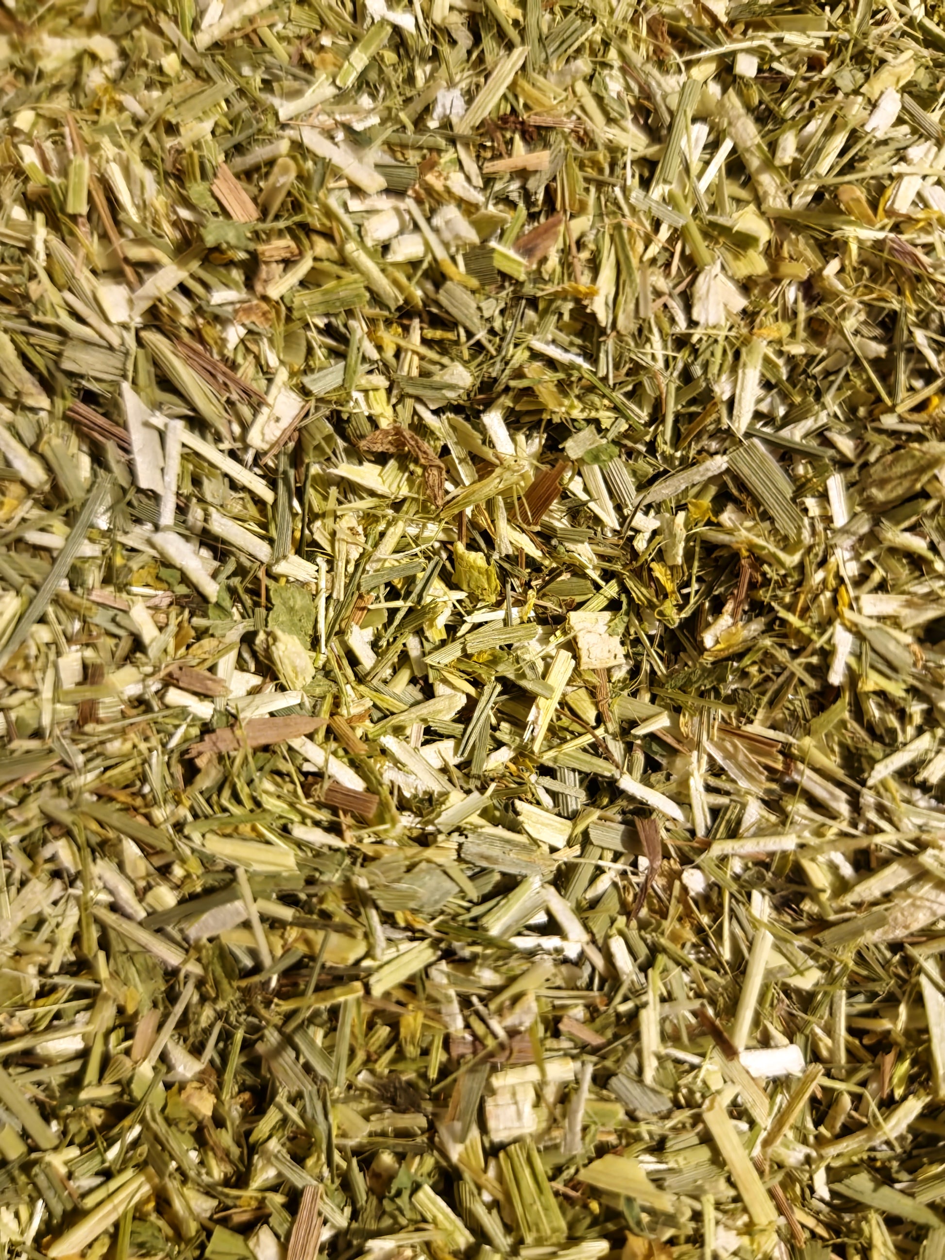 close up of Organic Yellow Sweet clover herb from Botanical Remedies herbal dispensary, dried and cut, an herbal remedy, loose herbal tea