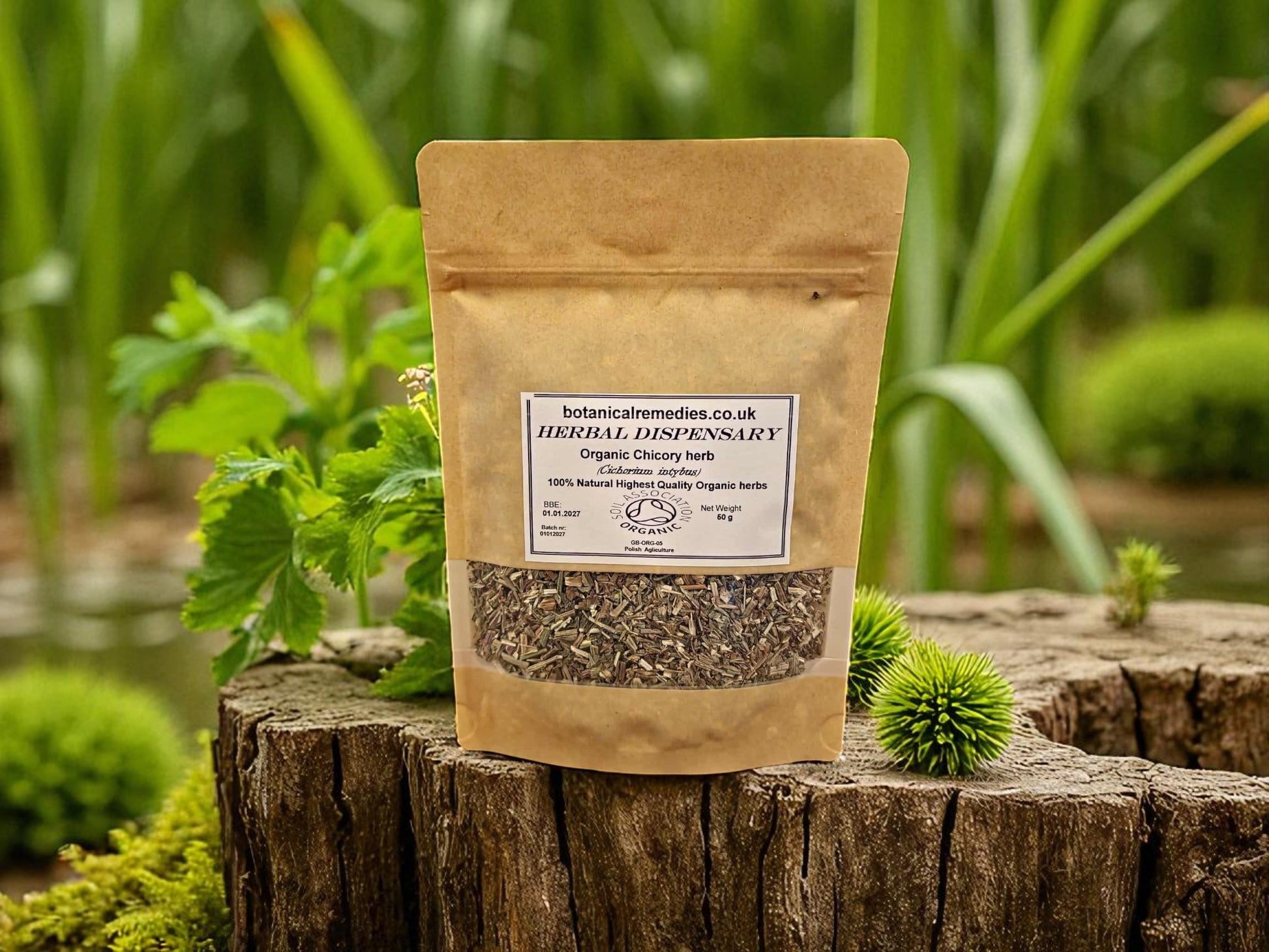 Package with Organic Chicory herb from Botanical Remedies herbal dispensary, an herbal remedy, loose herbal tea