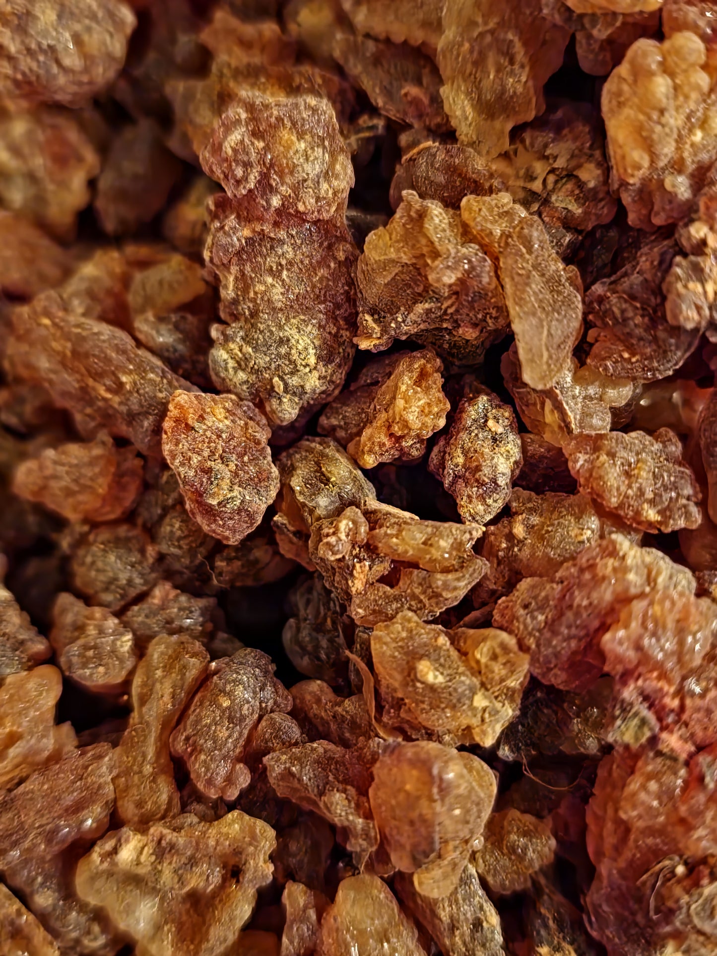 Close-up of amber-colored Myrrh resin pieces.