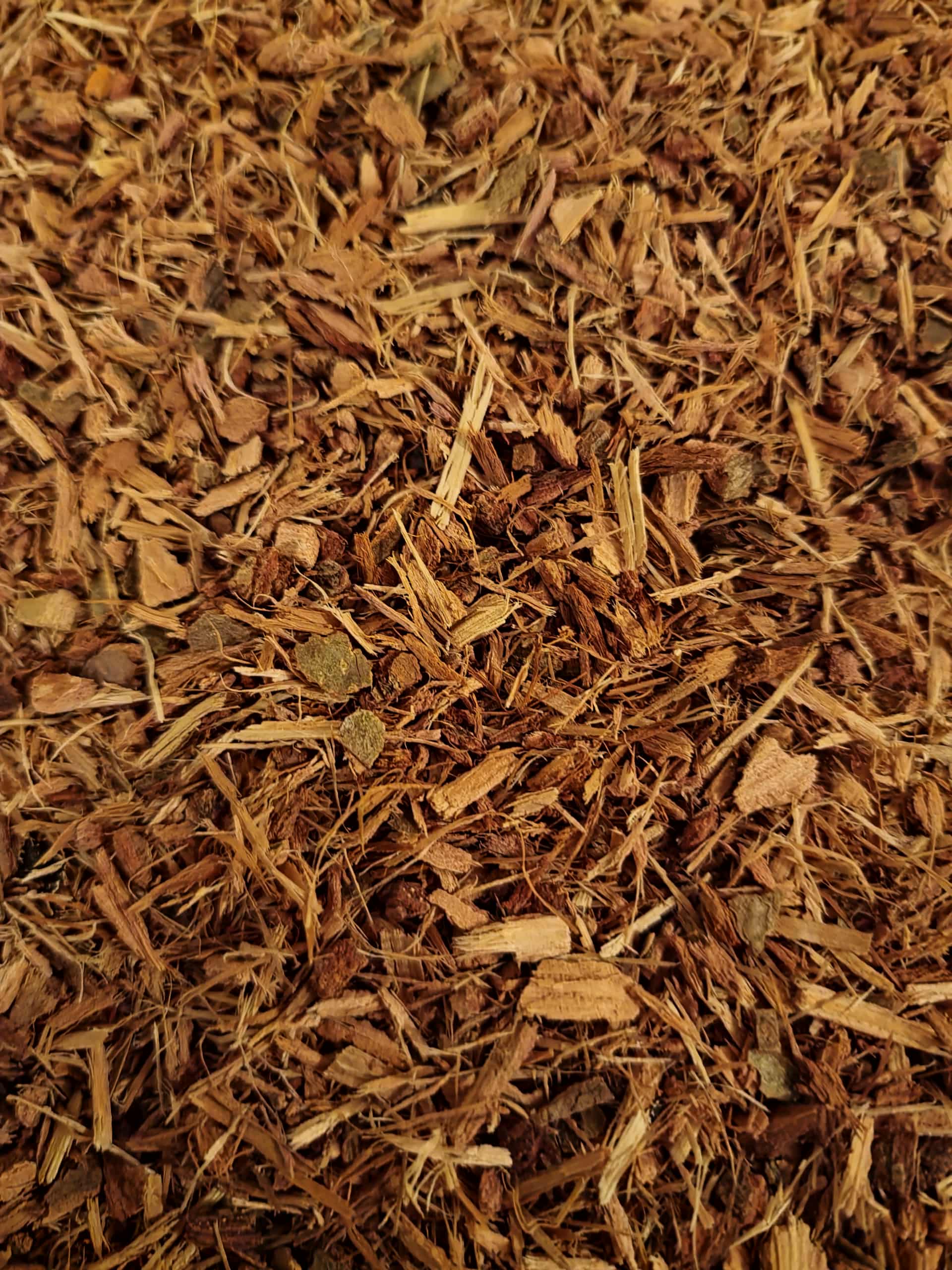 Close-up of dried Organic Oak bark, an herbal remedy from Botanical Remedies herbal dispensary, loose herbal tea