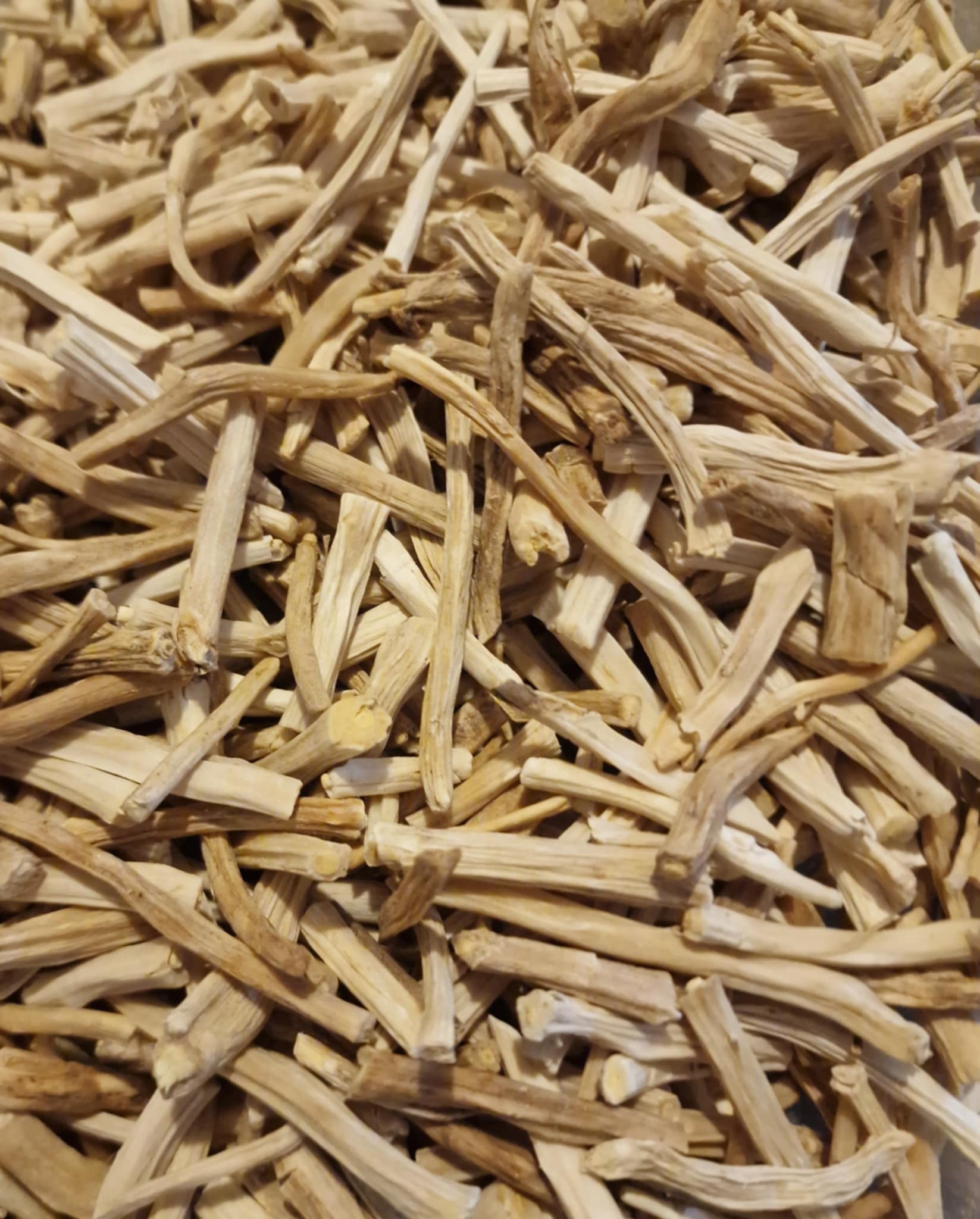 Organic Shatavari root pieces, dried and cut, an herbal remedy