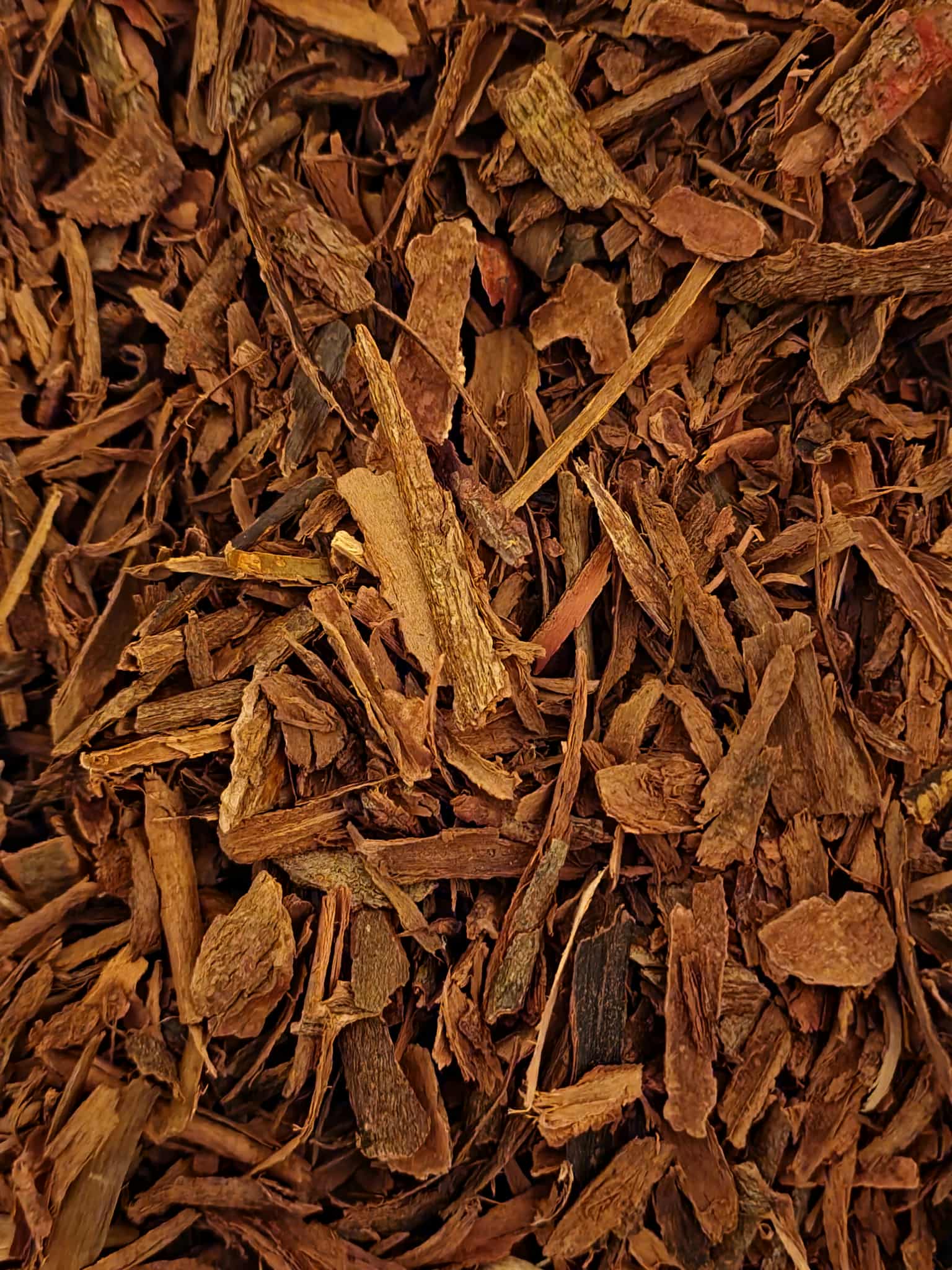 Close-up of dried organic cinnamon chips from Botanical Remedies herbal dispensary