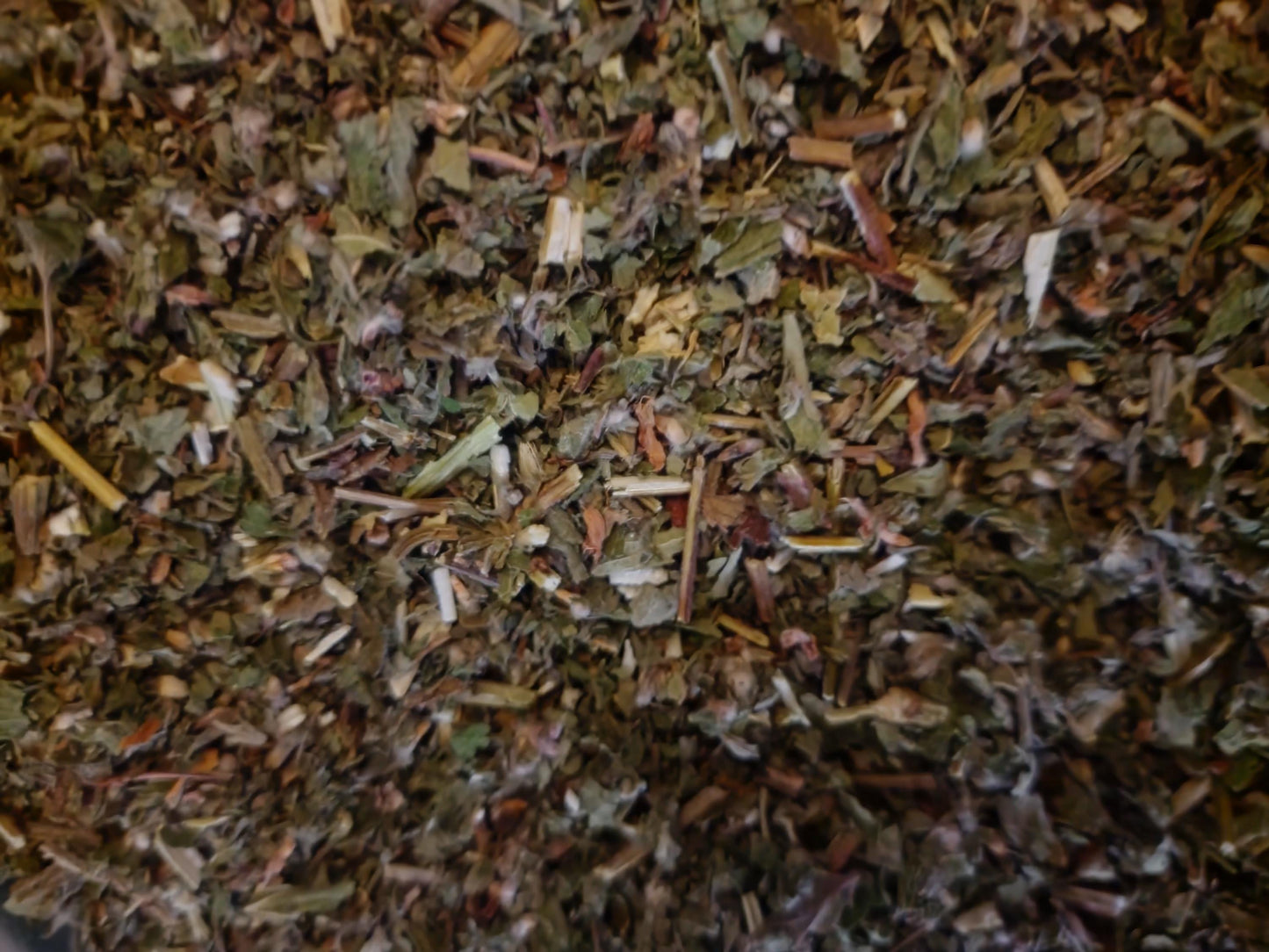 Organic Motherwort herb