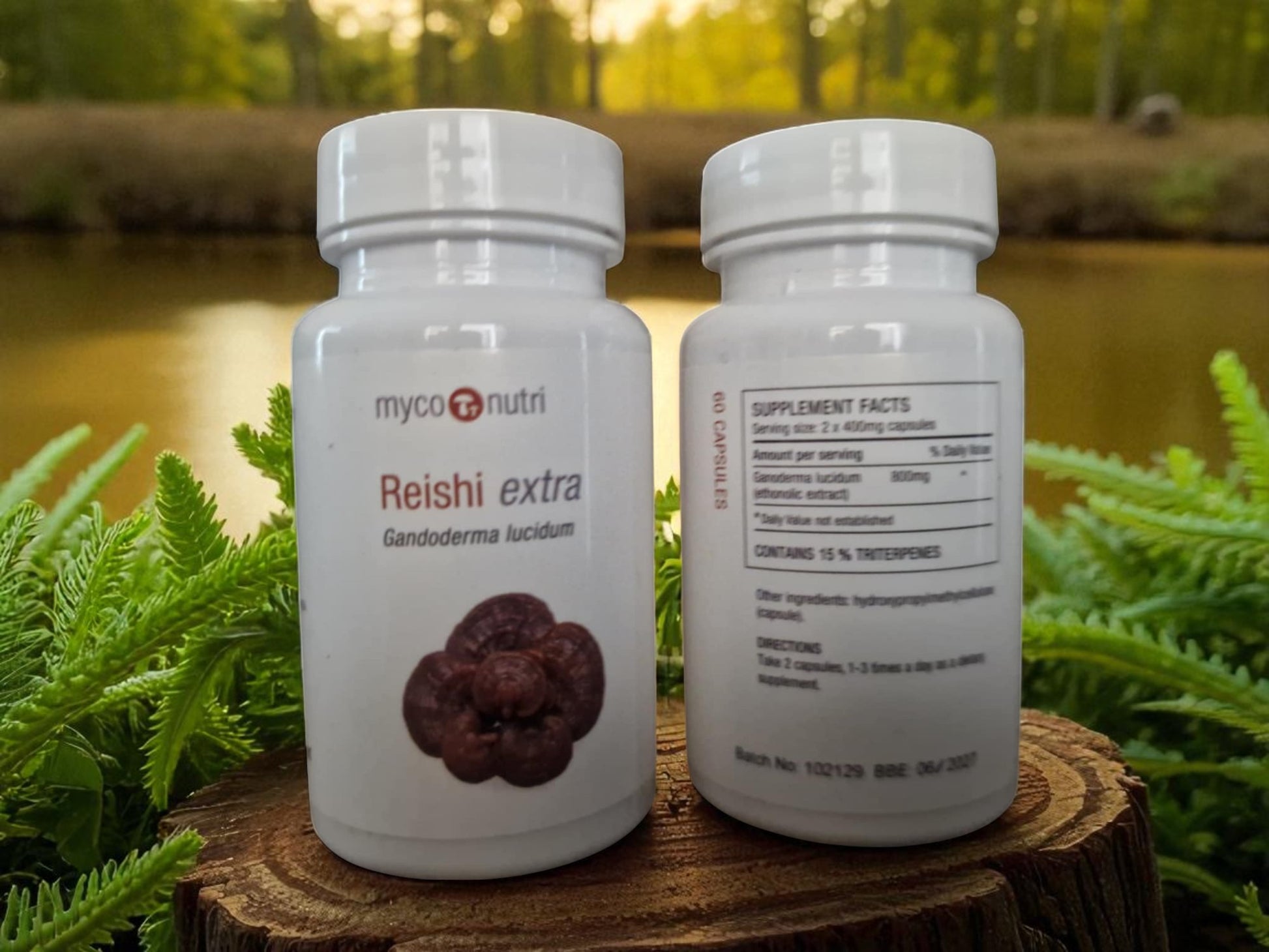 two containers with Myconutri Reishi extra, 60 vegetable capsules, front and back shown, an medicinal mushroom supplement