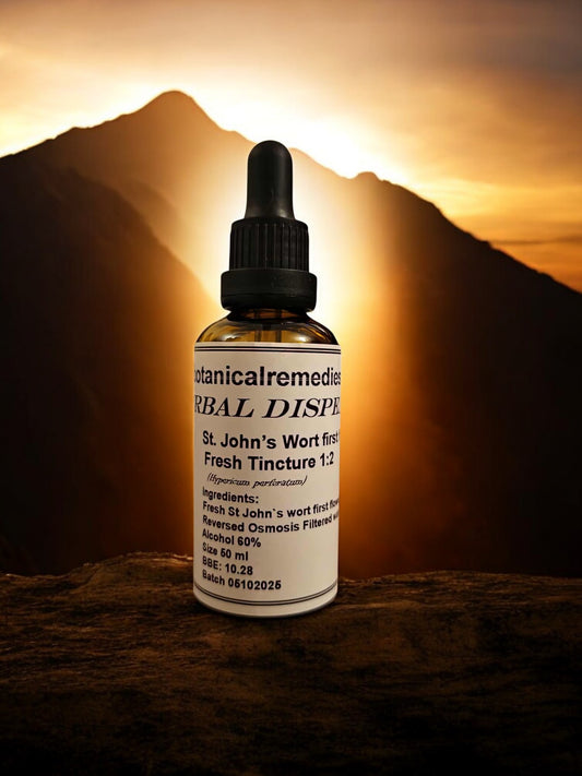 Bottle of St Johns wort Tincture, an herbal remedy from Botanical Remedies herbal dispensary
