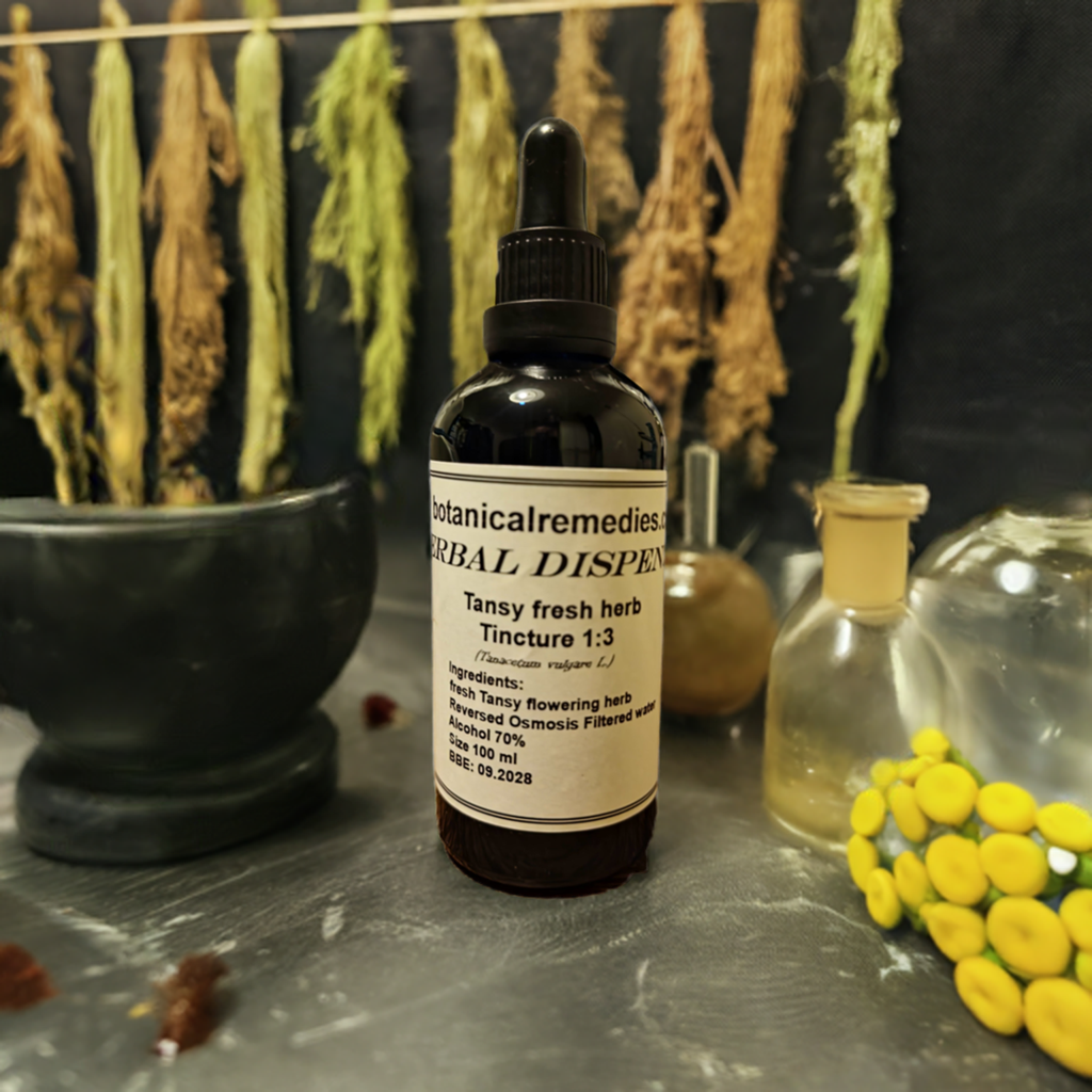 A glass bottle with a dropper containing Tansy Fresh herb tincture, labelled Botanical Remedies Herbal Dispensary. An herbal remedy renown in tradition of herbalism.