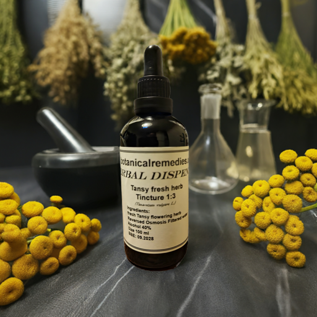 A dropper bottle of Tansy Tincture, made from fresh flowering herb, an herbal remedy from Botanical Remedies herbal dispensary