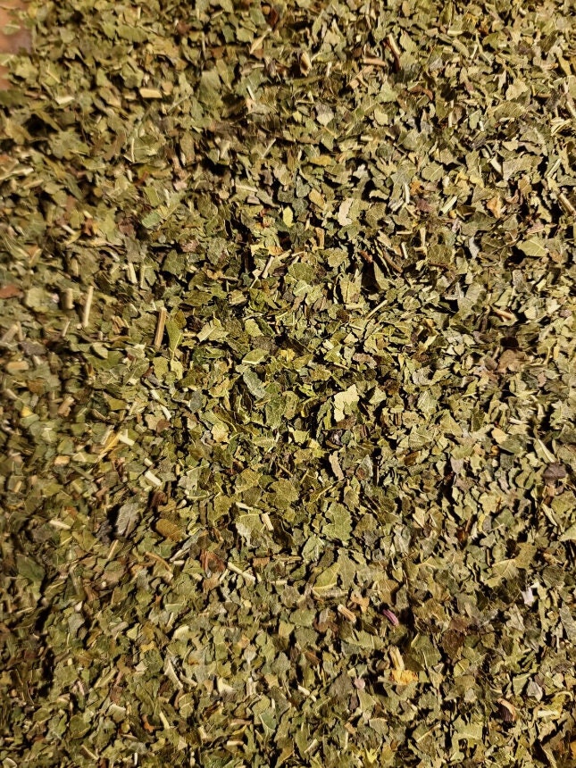 close up of dried and cut White Mulberry leaf, an herbal remedy from Botanical Remedies herbal dispensary, loose herbal tea