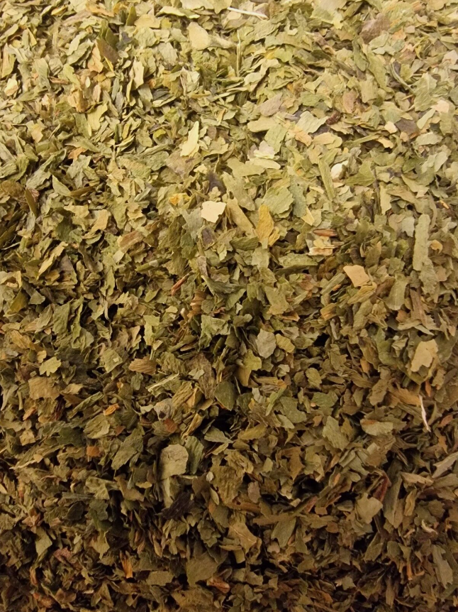Close up of Wild Garlic leaves, an spice and herbal remedy from Botanical Remedies herbal dispensary