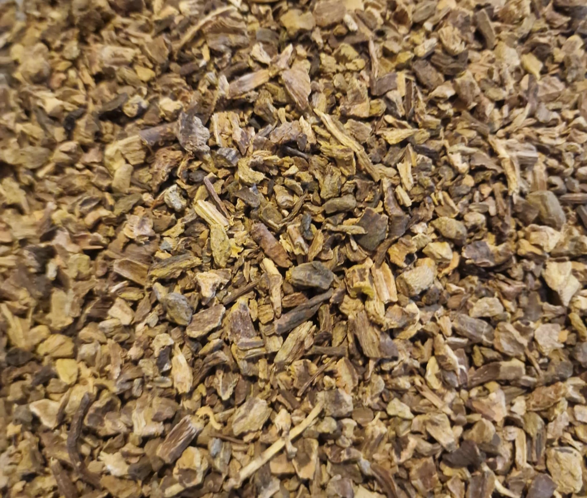 close up of Organic yellow dock root from Botanical Remedies herbal dispensary, dried and cut pieces, an herbal remedy, loose herbal tea