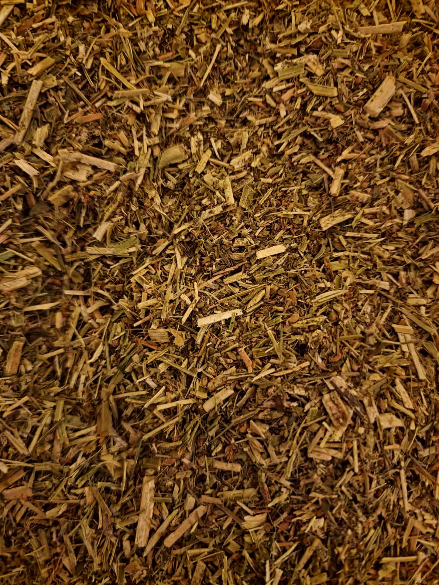 Close up of dried and cut Yellow sweet clover herb, loose herbal tea from Botanical remedies herbal dispensary