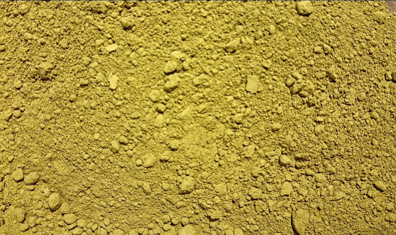 Japanese Matcha green tea powder (Camellia sinensis - (L.)Kuntze.) Lab-proven Quality and Purity