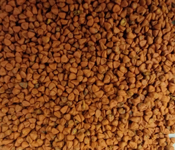 herbal Seeds