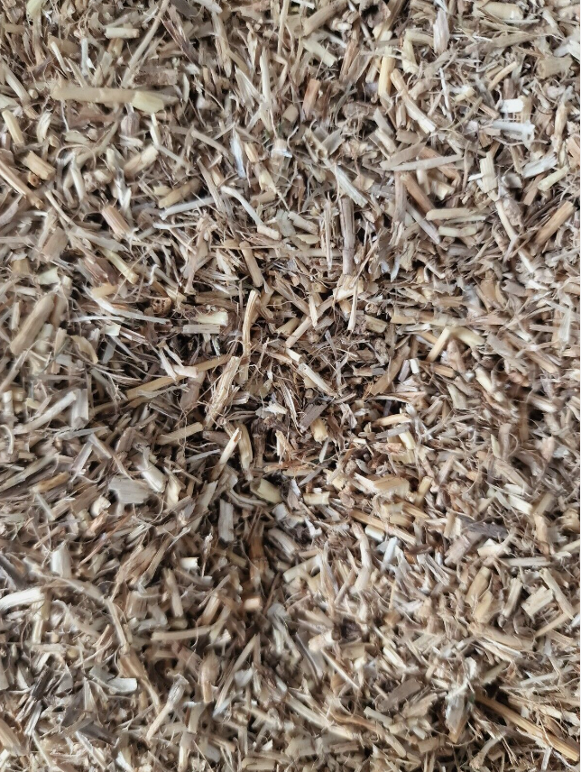Couch grass root tea (Elymus repens (L.)Desv. ex Nevski.) Lab-proven Quality and Purity