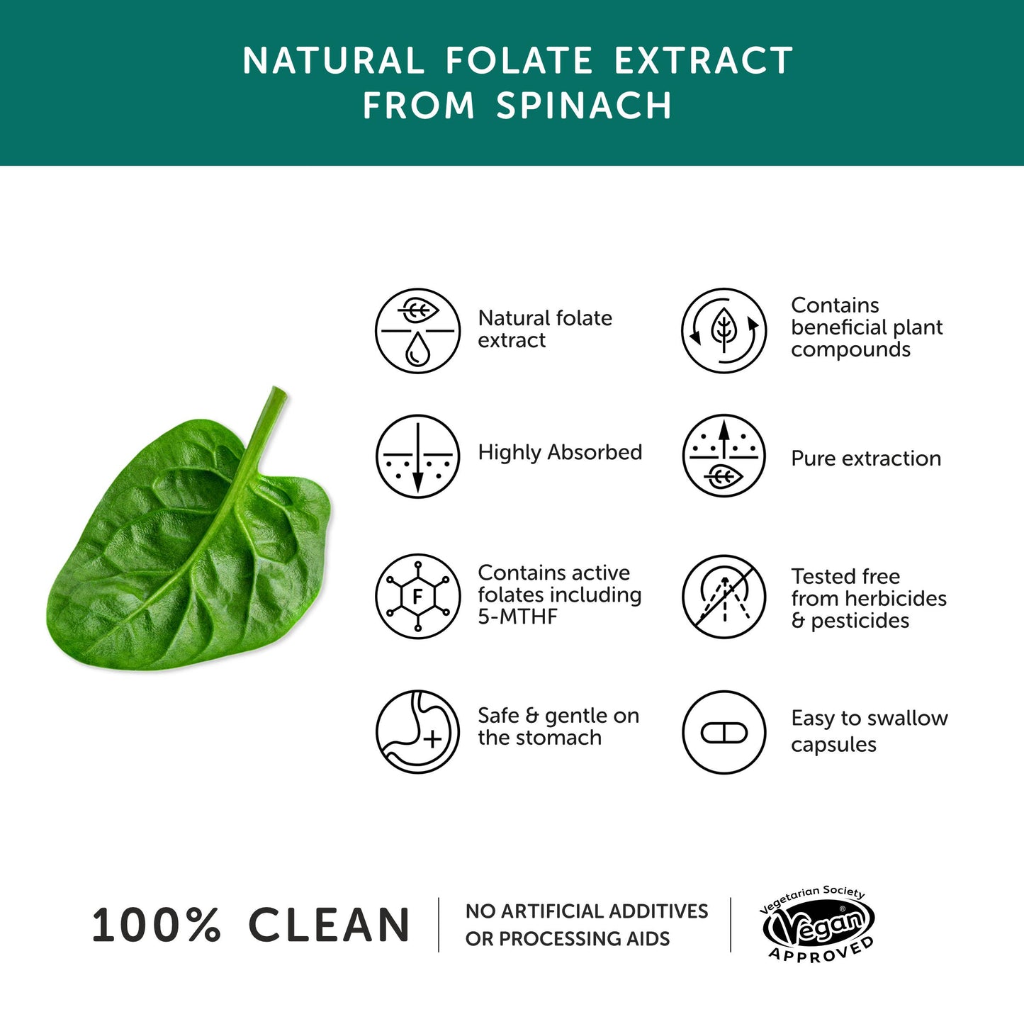 Folate – Natural Alternative to Folic Acid – Together Health