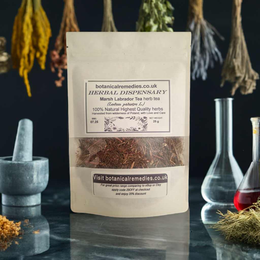 Marsh Labrador Tea (Ledum palustre (L.)/ Rhododendron tomentosum Harmaja) Lab-proven Quality and Purity