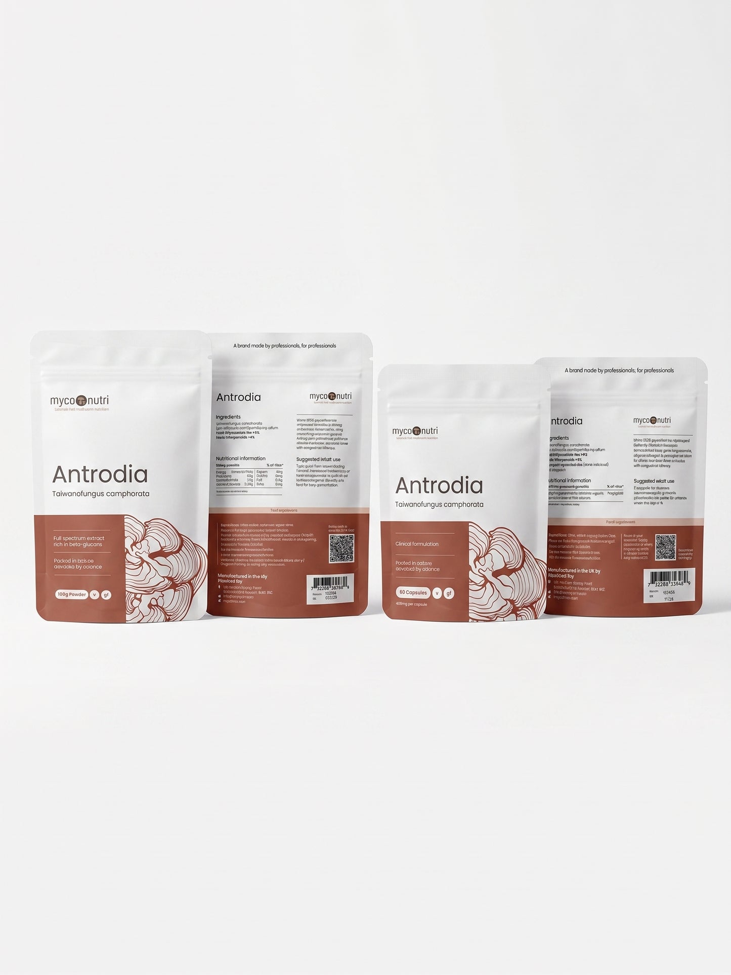 A professional studio group photograph against a clean white background, showcasing all four provided individual individual product views of the MycoNutri Antrodia dispensary range. Neatly arranged from left to right on a minimalist surface are: the front and back of the 100g powder pouch, and the front and back of the 60 capsules pouch. All critical label text, guaranteed constituent minimums, barcodes, and batch details are perfectly legible, demonstrating MycoNutri's uncompromising clinical standards