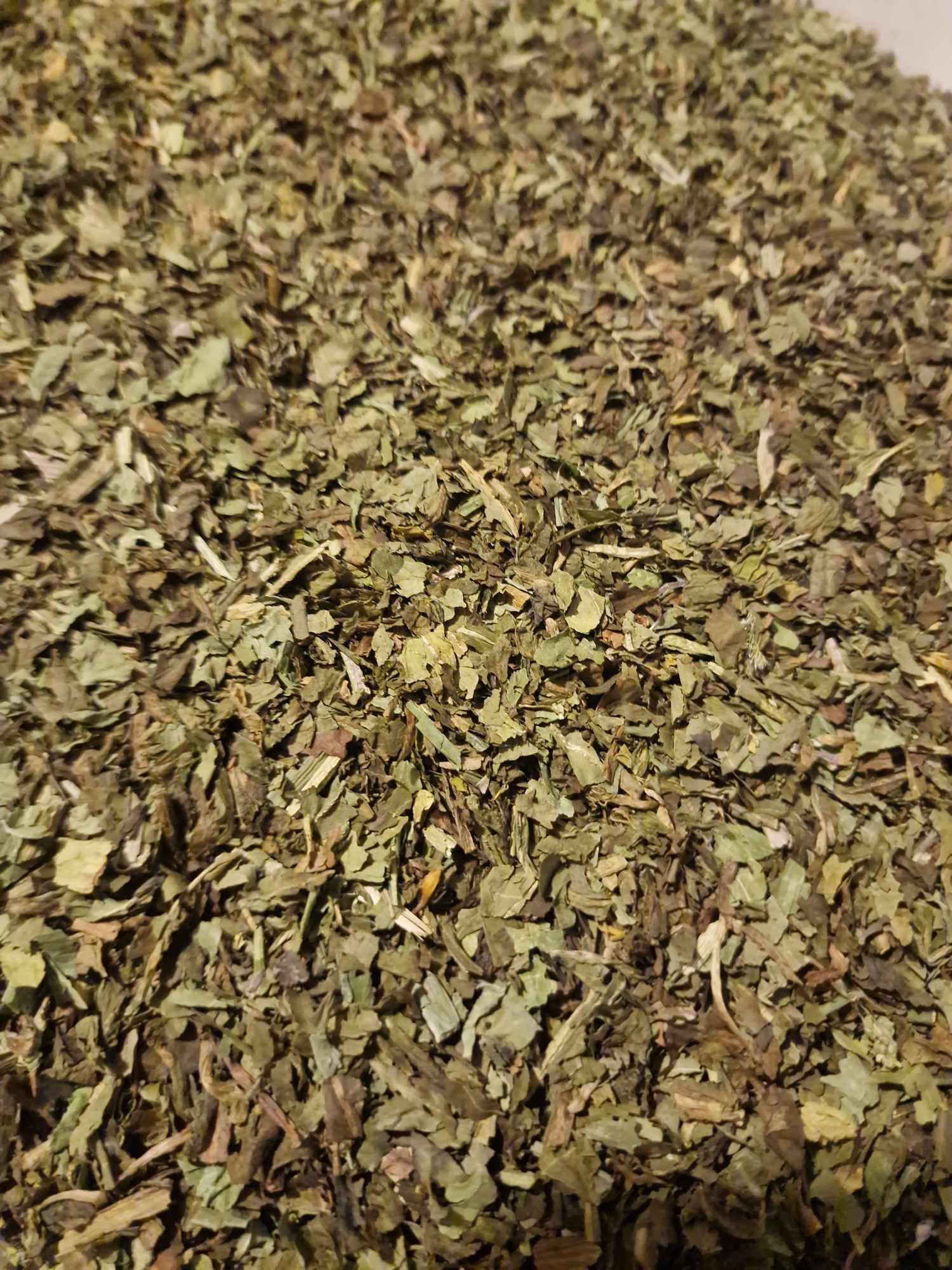 close up of Organic Dandelion leaf from Botanical Remedies herbal dispensary, an herbal remedy, loose herbal tea