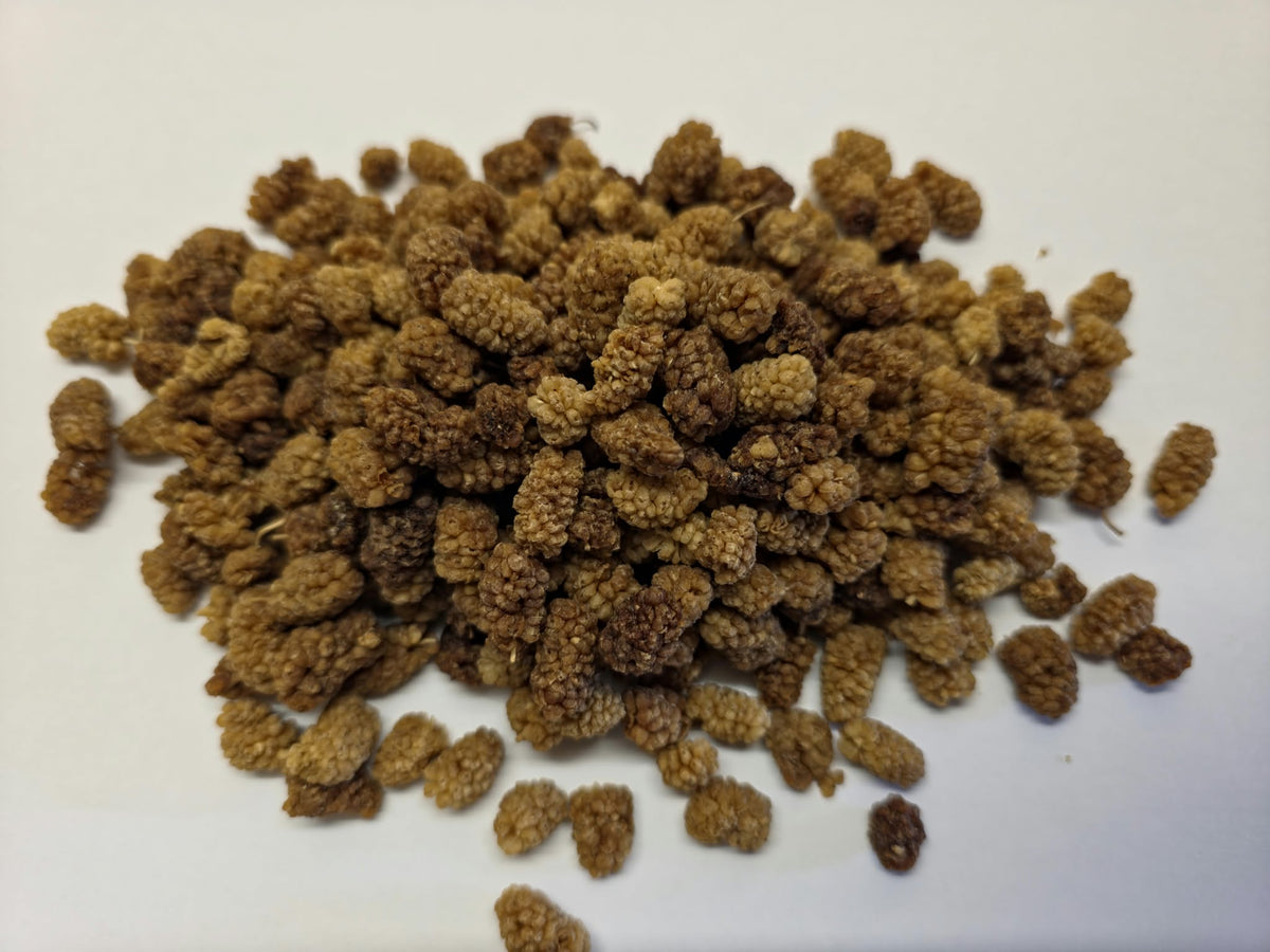 Pile of unbleached Organic White Mulberries whole fruit (Morus alba) showing light creamy white to golden brown berries on a clean white surface.