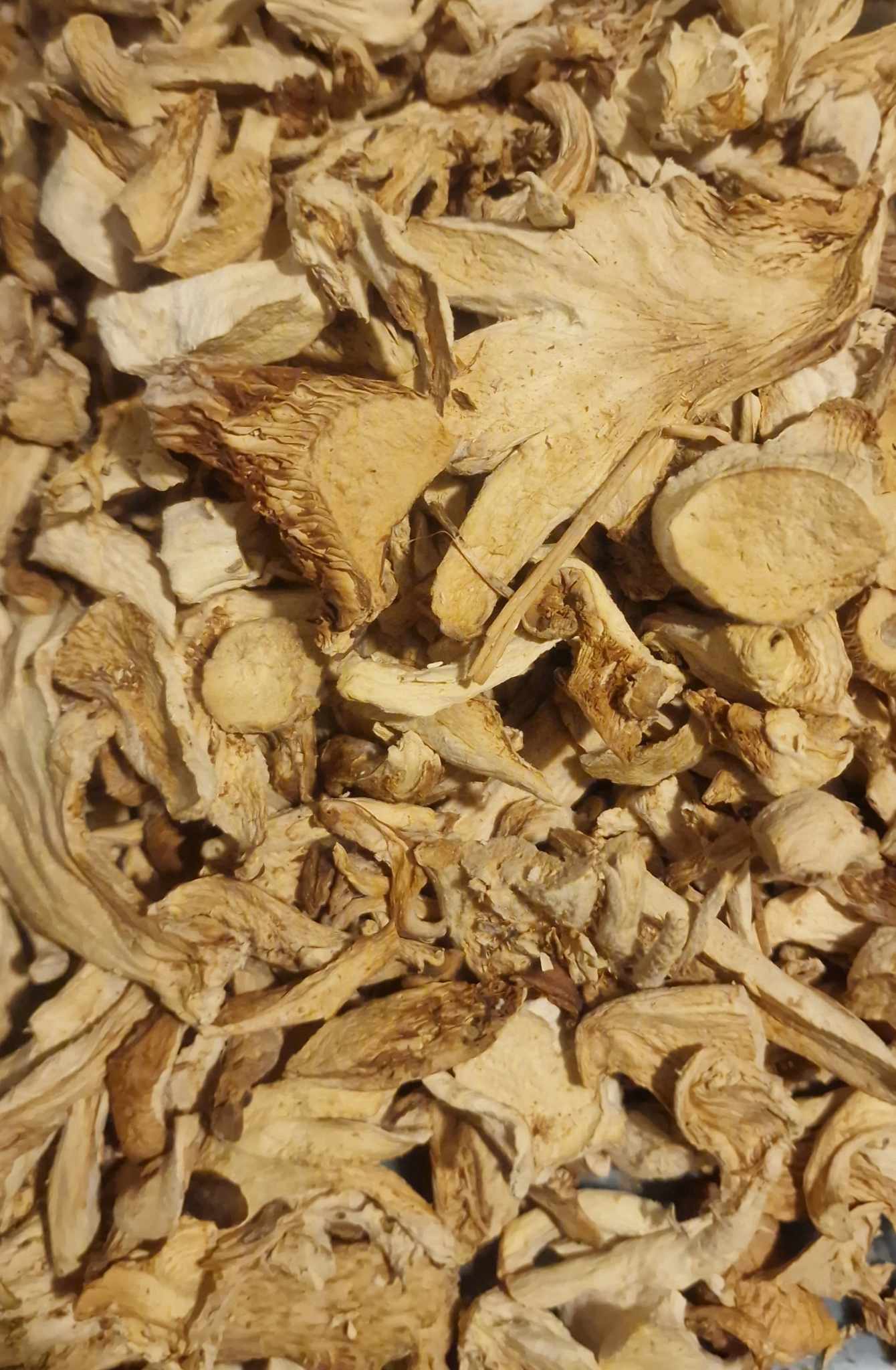 Oyster mushroom cut (Pleurotus ostreatus (Jacq. ex Fr.) P.Kumm) Lab-proven Quality and Purity