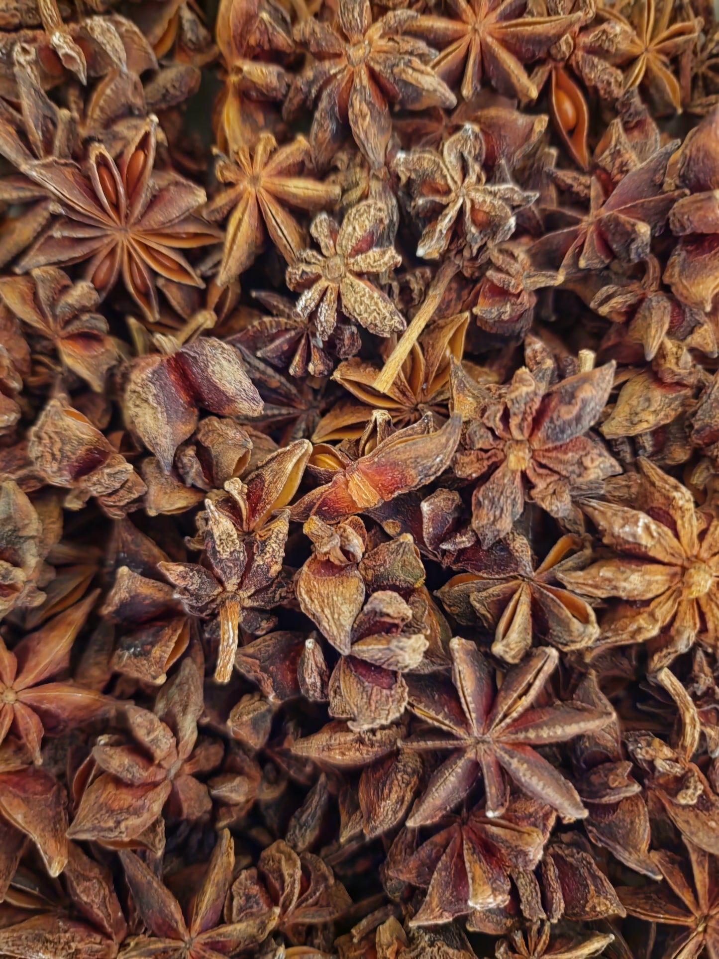 An overhead macro photograph of loose Apothecary Grade Whole Star Anise pods, showcasing the rustic reddish-brown texture, star-shaped woody pericarps, and intact seeds of premium Vietnamese Illicium verum.