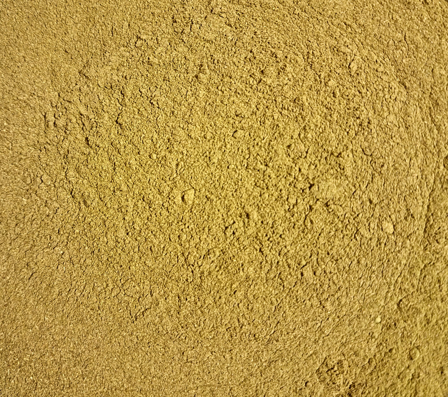 A top-down macro photograph of loose Apothecary Grade Young Barley Grass and Daily Greens Powder blend, displaying the ultra-fine uniform olive-green botanical powder texture.
