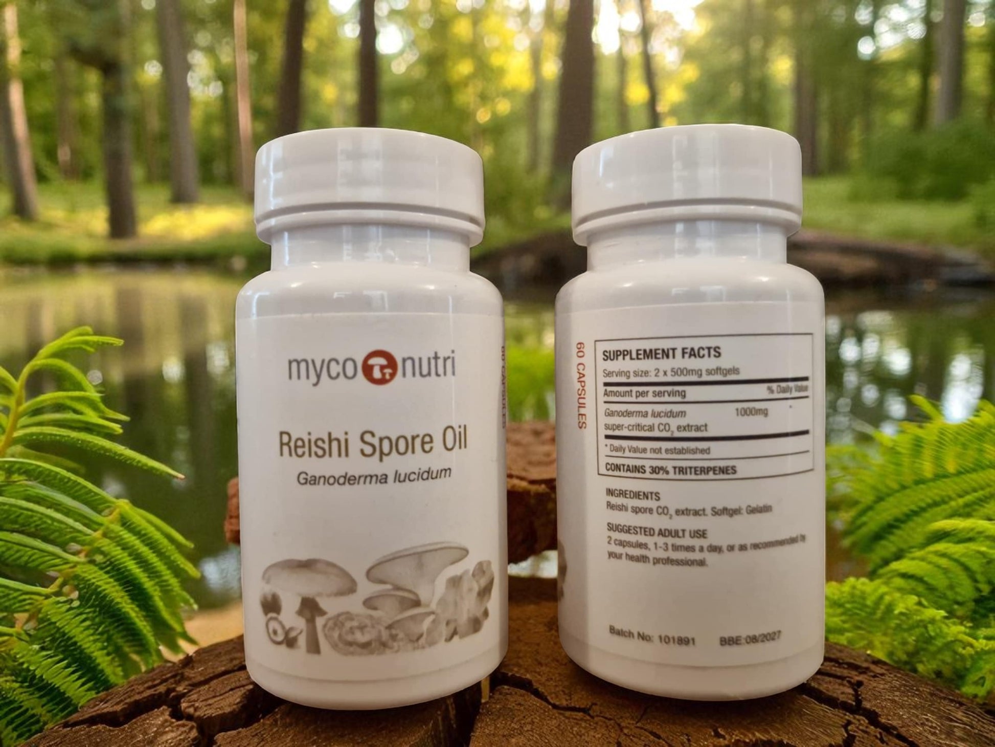 Container with Myconutri Reishi spore oil capsules